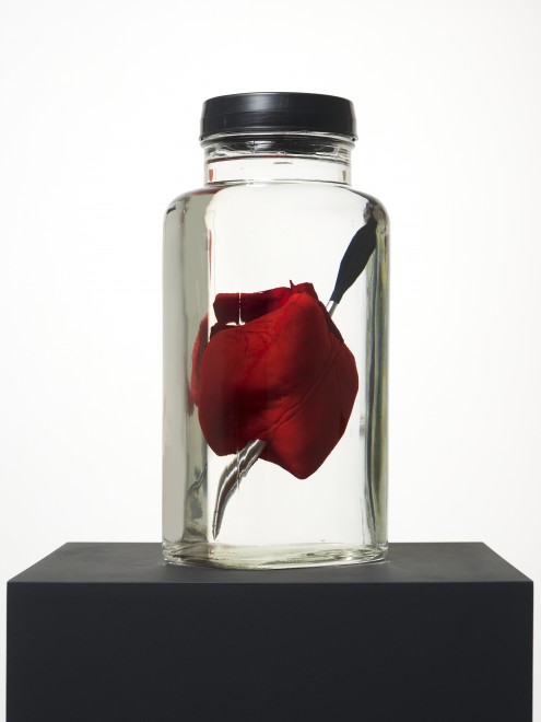 Damien Hirst, Love Struck, 2014, Cast resin, stainless steel crossbow bolt, glass, mineral oil. Courtesy: Paul Stolper, London
