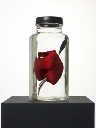 Damien Hirst, Love Struck, 2014, Cast resin, stainless steel crossbow bolt, glass, mineral oil. Courtesy: Paul Stolper, London