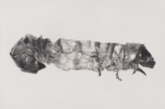 Carsten Höller, Puppen, 2013, Photogravure. Courtesy: Niels Borch Jensen Gallery and Editions, Berlin, Copenhagen 