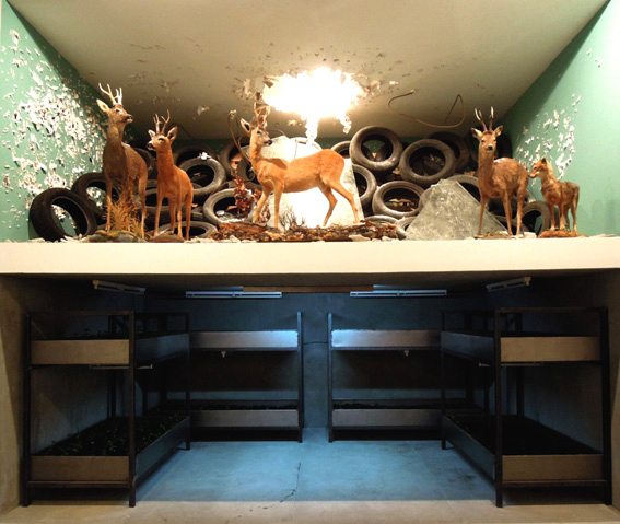 Nikita Kadan, The Shelter, 2015, Installation view. Courtesy: Nikita Kadan 
