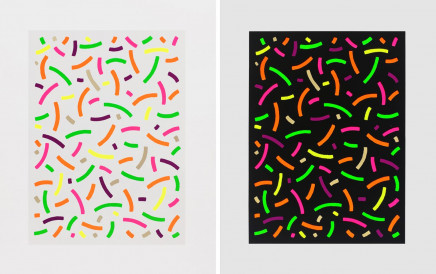 Curves (Positive & Negative) by Osvaldo Mariscotti