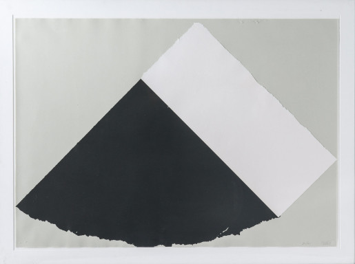 Ellsworth Kelly, Dark Gray and White, 1977-1979