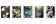 Thomas Ruff, phg, 2014