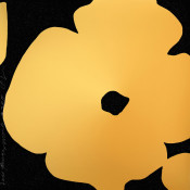 Gold Flowers, March 3, 2011