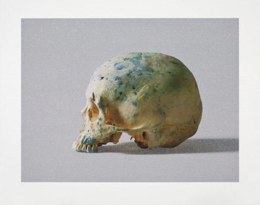 Damien Hirst, Studio Half Skull, half face, 2009