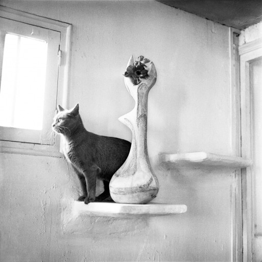 Agnès Varda, Sans titre, 1958