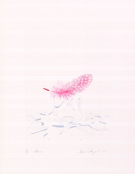 Plume by James Rosenquist