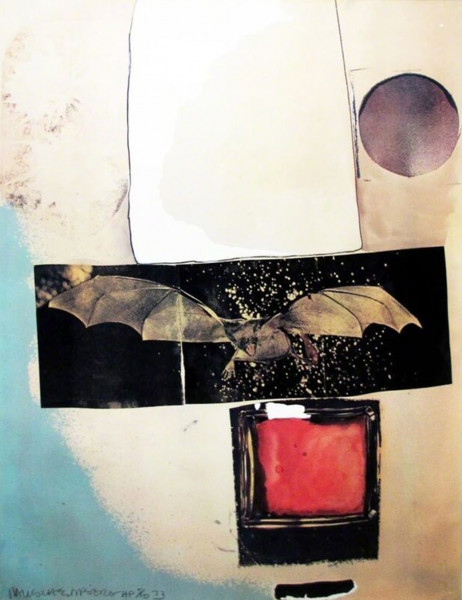 Robert Rauschenberg, Rays, 1973