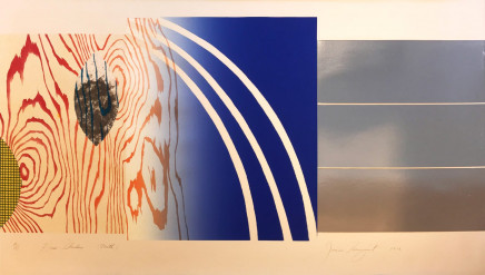 Horse Blinders (North) by James Rosenquist