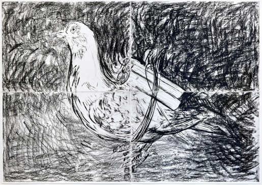 Adel Abdessemed, Pigeon, 2016