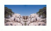 Bow-Tie Rivet (Bow-Tie Landscapes)