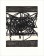 Terry Winters, Perfection, Way, Origin, 2001