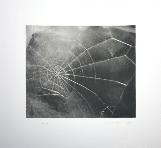 Vija Celmins, Spider Web, 2009
