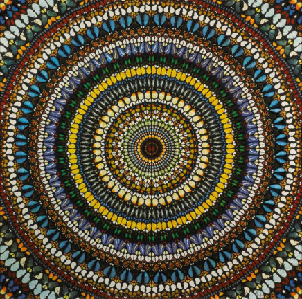 Covenant by Damien Hirst