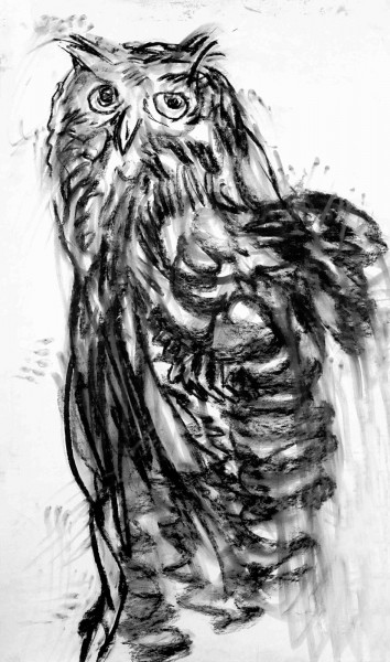 Adel Abdessemed, Hibou, 2016