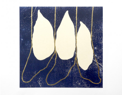 Dominique Labauvie, Pleiades, 2019