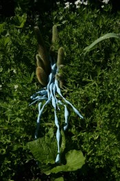Azulis Venosus (Botanica)