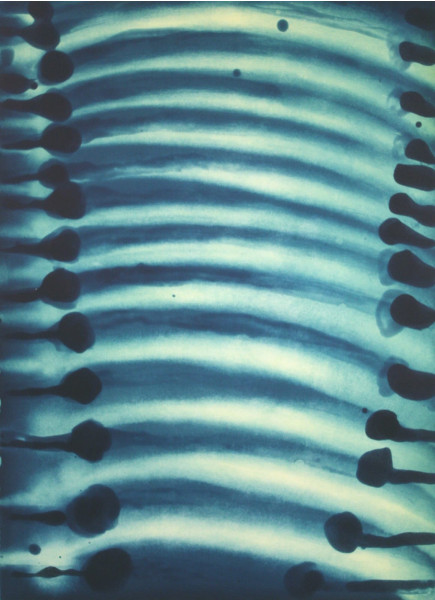 Ross Bleckner, Arrangement, 1999