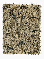 Untitled from the Portfolio “Kinderstern”