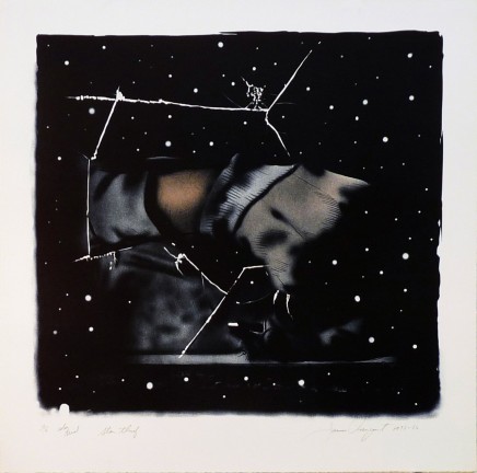 Star Thief by James Rosenquist