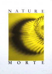 Nature Morte