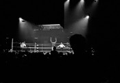 Ali in the Ring Wins Against Brian, London