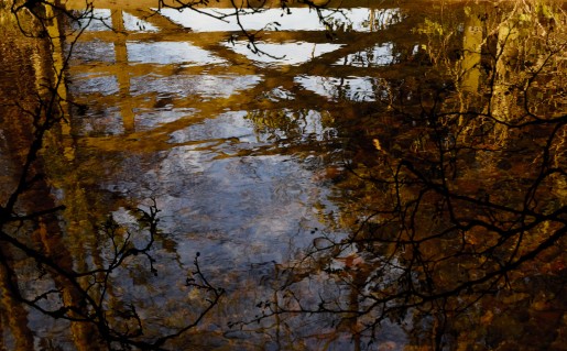Susan Derges, Crossing, 2012