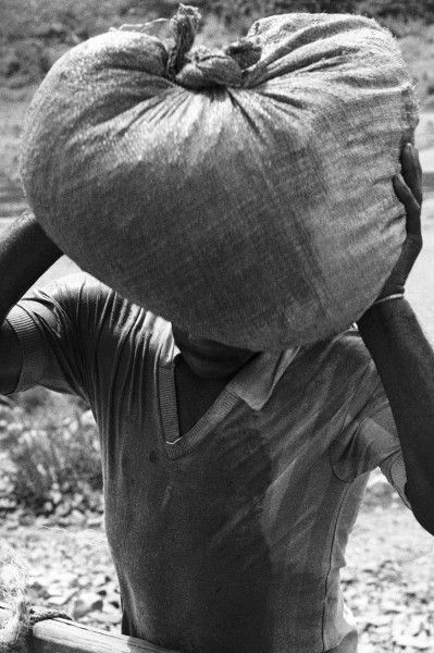 Michel François, Le Sac sur la Tête, 1995