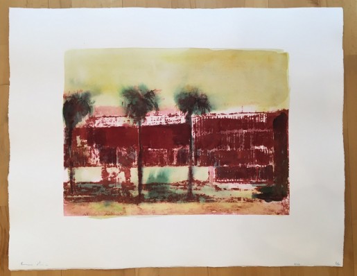 Enoc Perez, Puerto Rico G4, 2016