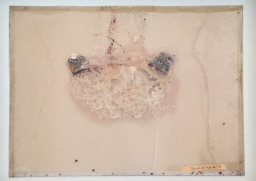 Dieter Roth, Zwei Birnen, 1969