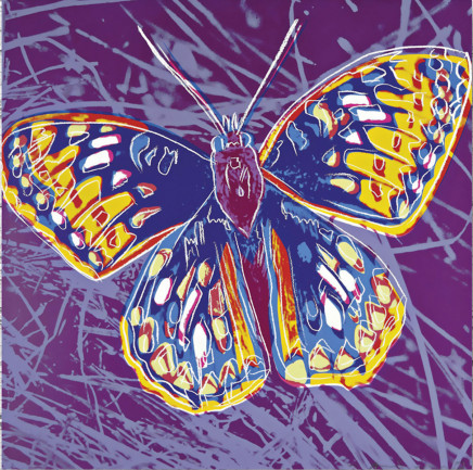 Endangered Species: San Francisco Silverspot Butterfly (F.S II.298) by Andy Warhol