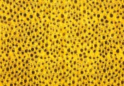 Beehive (from the suite “Portrait of a Pre-Caffeinated Mind”)