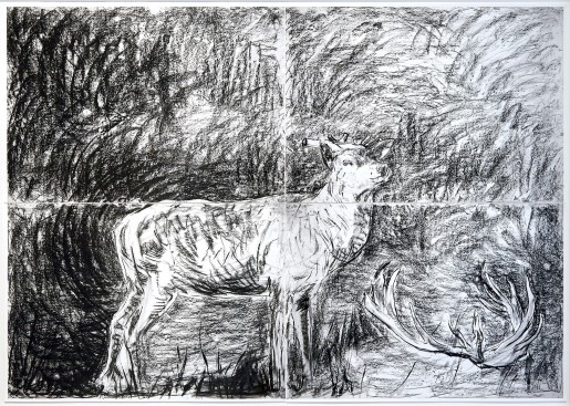 Adel Abdessemed, Cerf, 2016
