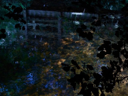 Love Brook 2 July by Susan Derges