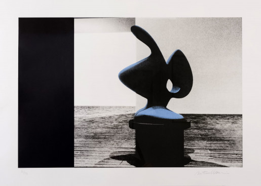 Bertrand Lavier, Walt Disney Productions 1947-2008 - II, 2008