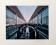 Ai Weiwei, Becoming, 2009