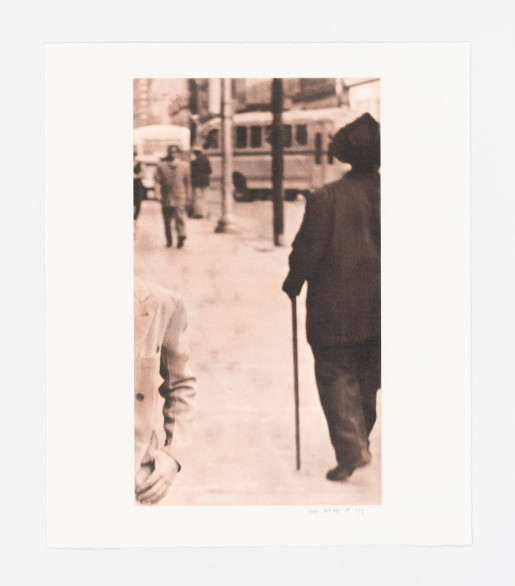 Iñaki Bonillas, Storm of Secondary Things, 2012