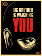 Big Brother Is Watching You
