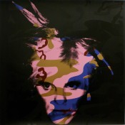 Camouflage Fright Wig - Blue and Bronze on Pink