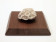 Adja Yunkers, Untitled (Small Sculpture), 1981