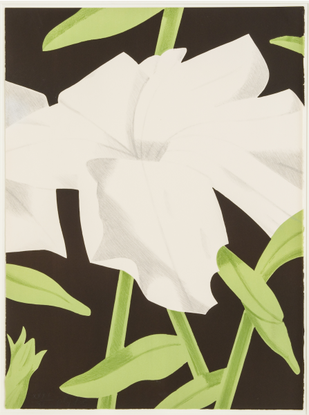 Alex Katz, White Petunia, 1969