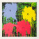 Mr. Brainwash, Flowarh$ Portfolio (II), 2021