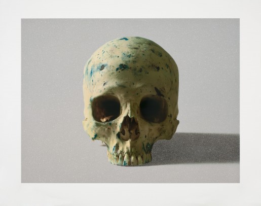 Damien Hirst, Studio Half Skull, face on, 2009
