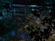 Love Brook 2 July