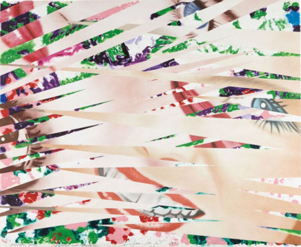 Crosshatch and Mutation by James Rosenquist