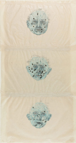 Kiki Smith, Constellations, 1996
