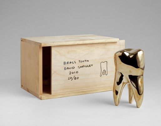 David Shrigley, Brass Tooth, 2010