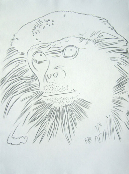Andy Warhol, Vanishing Animals - Douc Langur, 1986