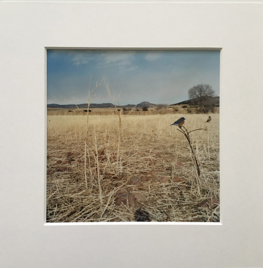 Jean-Luc Mylayne, «TOGETHER» A17, January, February, March, 2007, 2007