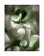 Thomas Ruff, phg, 2014